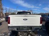 New 2025 Ford F150 XLT w/ Equipment Group 303A High image 3