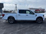 New 2025 Ford F150 STX w/ Equipment Group 200A image 2
