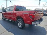 New 2025 Ford F150 XLT w/ Equipment Group 301A Standard image 5
