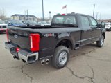 New 2025 Ford F250 XL image 3