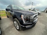 Certified 2021 Ford F150 Limited image 2