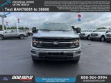 New 2025 Ford F150 XLT w/ Equipment Group 303A High image 2