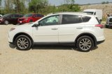 Used 2017 Toyota RAV4 Limited w/ Protection Package image 2