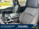New 2025 Ford F150 STX w/ STX Black Appearance Package image 4