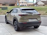 New 2025 MAZDA CX-30 Carbon image 5