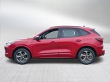 Used 2024 Ford Escape ST-Line image 4