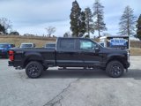 New 2025 Ford F250 XL w/ STX Appearance Package image 4