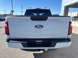 New 2025 Ford F150 STX w/ Equipment Group 200A image 4