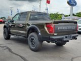 New 2025 Ford F150 Raptor image 4