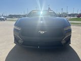 Certified 2024 Ford Mustang Premium image 5