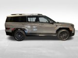 New 2025 Hyundai Santa Fe Calligraphy image 2
