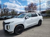New 2025 Hyundai Palisade Calligraphy image 3