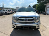 Used 2014 Ford F150 XLT w/ Equipment Group 302A Luxury image 2
