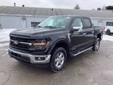 New 2025 Ford F150 XLT w/ Equipment Group 302A MID image 3