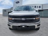 Used 2024 Ford F150 XLT w/ Equipment Group 302A MID image 2