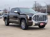 New 2025 Toyota Tundra 1794 Edition image 2