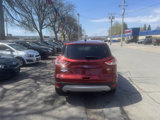 Used 2016 Ford Escape SE w/ SE Cold Weather Package image 5