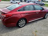 Used 2016 Hyundai Sonata Limited image 4