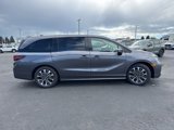 New 2026 Honda Odyssey Elite image 4