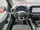 New 2025 Ford F150 XLT w/ Equipment Group 302A MID image 3