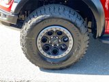 New 2025 Ford F150 Raptor image 5