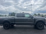 New 2025 Ford F350 Platinum image 5