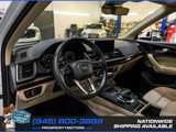 Used 2019 Audi Q5 2.0T Premium Plus w/ Premium Plus Package image 3
