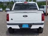 New 2025 Ford F150 XLT w/ Equipment Group 302A MID image 4