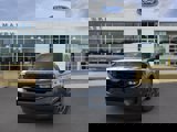New 2025 Ford Expedition Active image 2