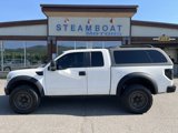 Used 2010 Ford F150 Raptor image 2