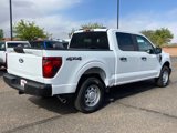 New 2025 Ford F150 XL image 5