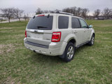 Used 2008 Ford Escape Limited image 6