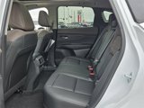New 2025 Nissan Murano Platinum image 4