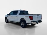 Used 2024 Ford F150 XLT w/ Mobile Office Package image 3