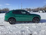 New 2025 Alfa Romeo Stelvio Sprint image 6
