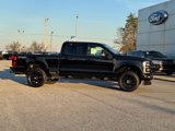 New 2025 Ford F250 XL image 2