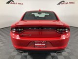 Used 2023 Dodge Charger SXT w/ Blacktop Special Edition image 5
