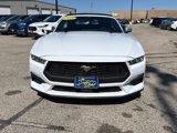 Used 2024 Ford Mustang Premium image 3