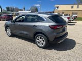 Used 2024 Ford Escape Active w/ Tech Pack #2 image 4