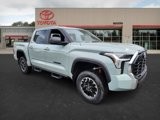 New 2025 Toyota Tundra SR5 image 3