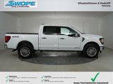 New 2025 Ford F150 XLT w/ Equipment Group 303A High image 2