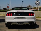 Used 2015 Ford Mustang GT Premium w/ Equipment Group 401A image 4