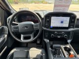 New 2025 Ford F150 XLT w/ Equipment Group 303A High image 3