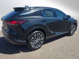 New 2025 Lexus RX 350 Premium Plus image 3