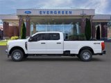 New 2024 Ford F250 XL w/ XL Chrome Package image 3