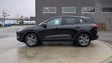New 2025 Ford Escape ST-Line Elite w/ Tech Pack #1 image 2