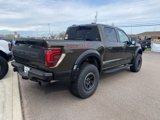 New 2025 Ford F150 Raptor image 5