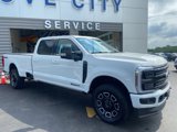 New 2025 Ford F250 Platinum image 4