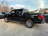 New 2025 Ford F150 XLT w/ Equipment Group 303A High image 3