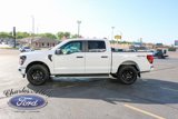 New 2025 Ford F150 STX w/ STX Black Appearance Package image 4